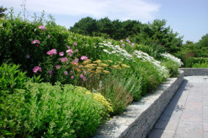 nantucket gardeners