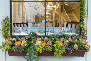 nantucket window boxes, potted plants, containers