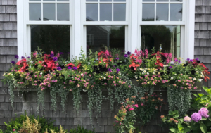 nantucket landscaping companies