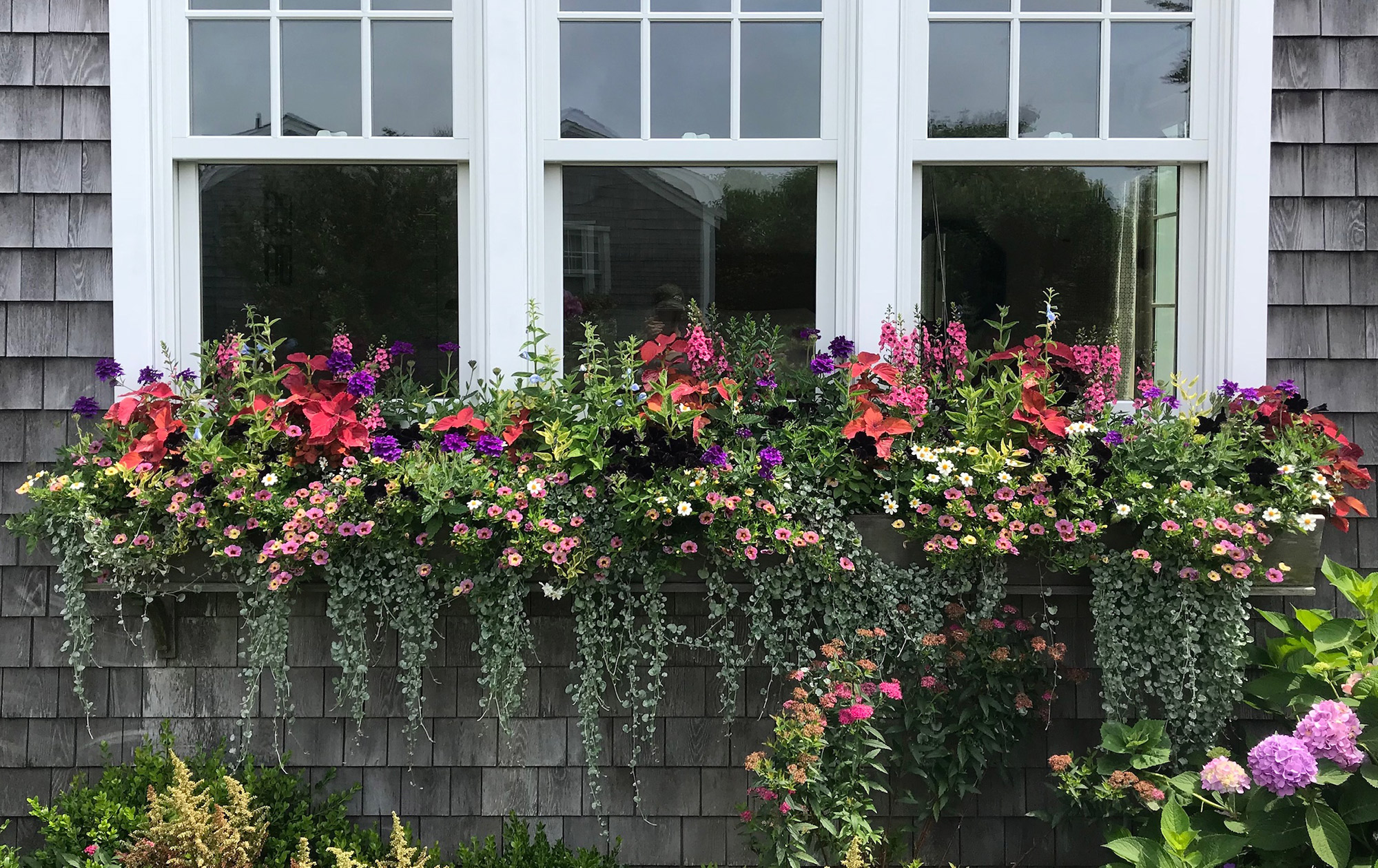 Nantucket Window Boxes and Containers by Ernst Land Design