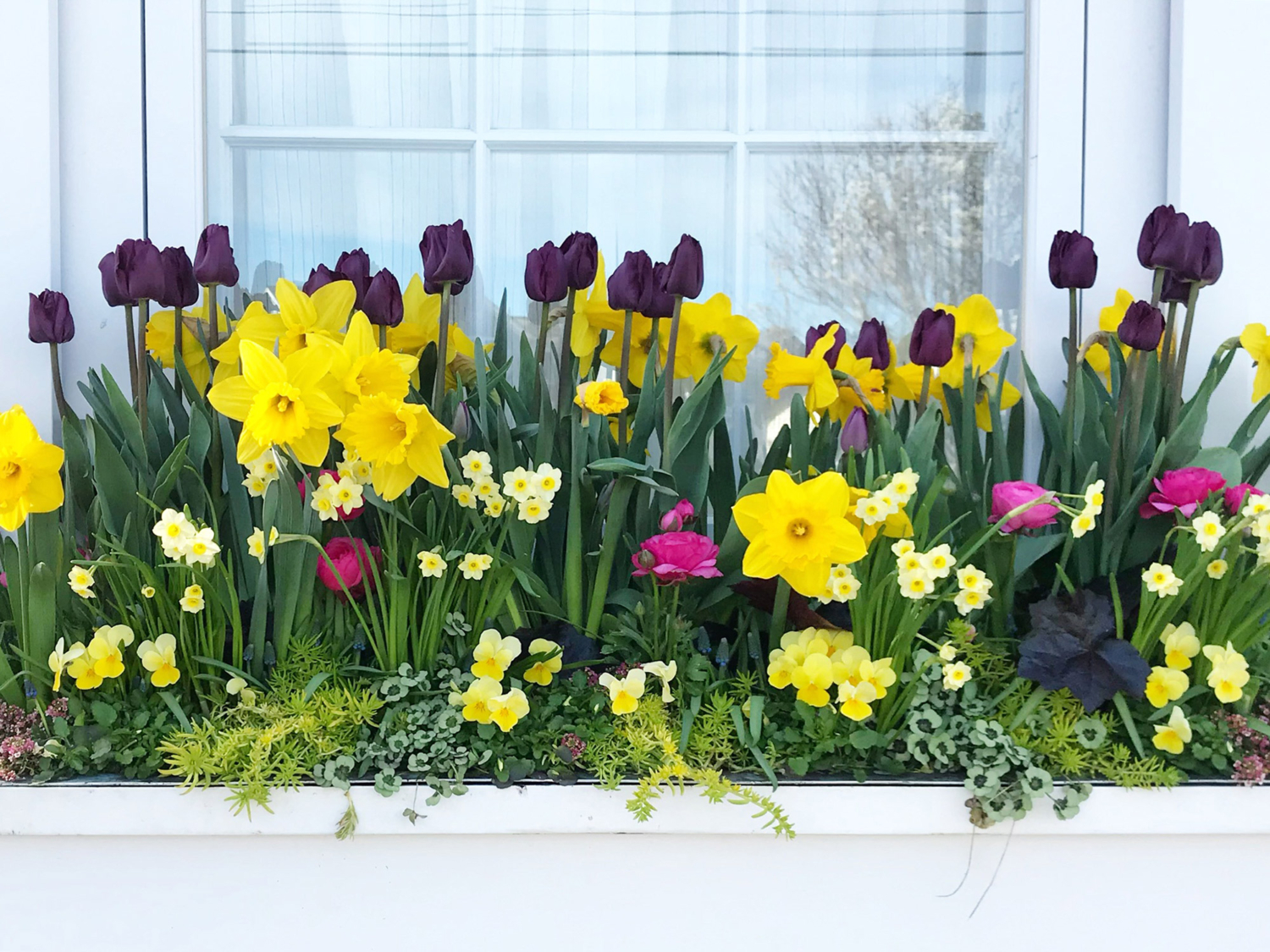 nantucket landscapng