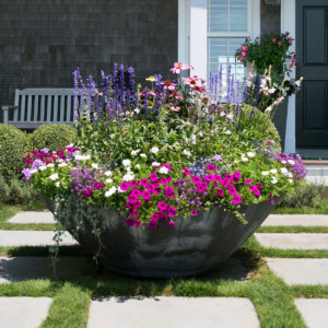 nantucket containers and potted plants