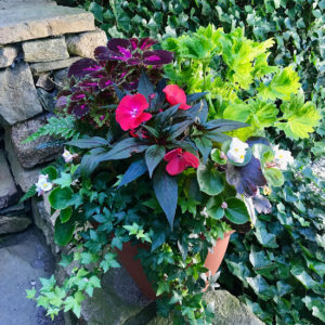 nantucket containers and potted plants