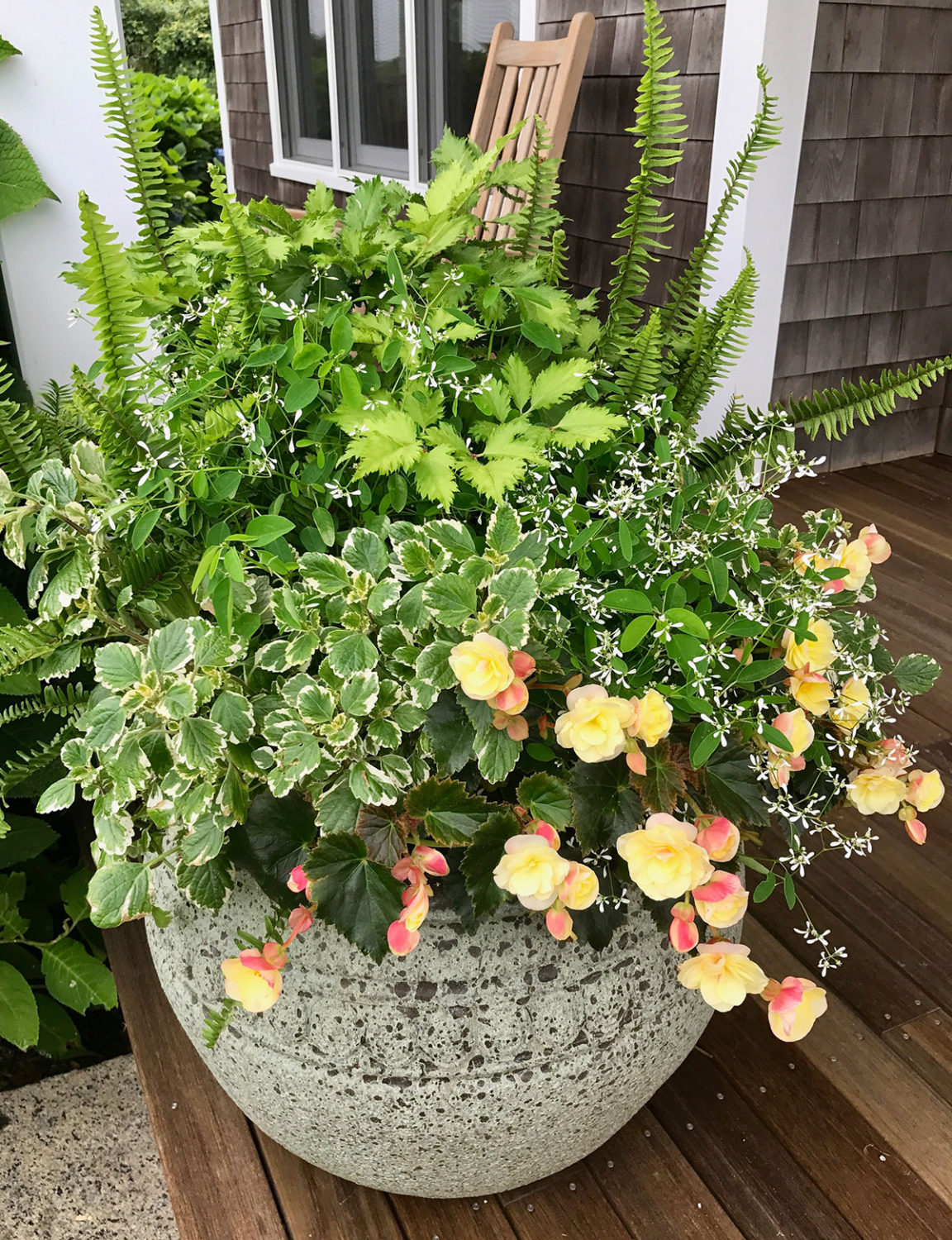 nantucket containers and potted plants