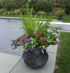 nantucket containers and potted plants