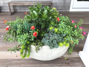 nantucket containers and potted plants