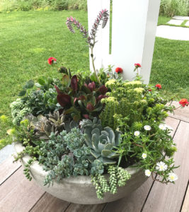 nantucket containers and potted plants