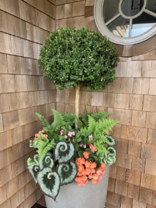 Nantucket Window Boxes and Containers