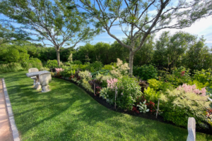 nantucket perennial gardens